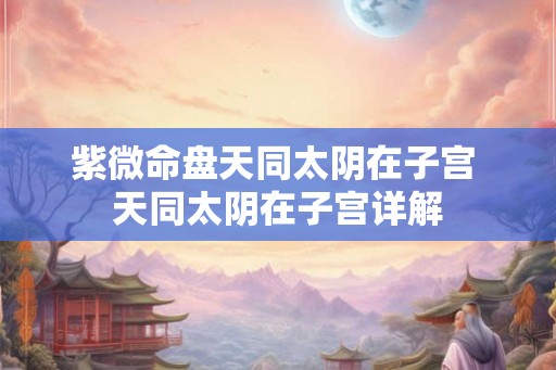 紫微命盘天同太阴在子宫 天同太阴在子宫详解