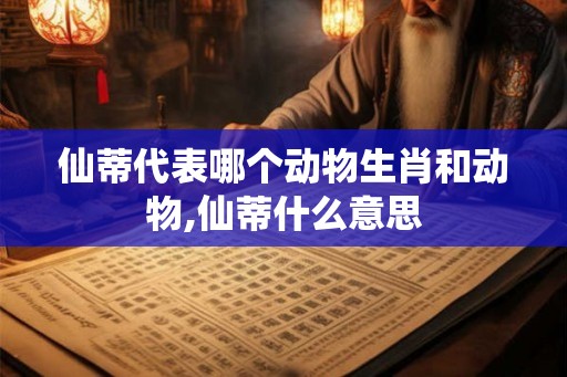 仙蒂代表哪个动物生肖和动物,仙蒂什么意思
