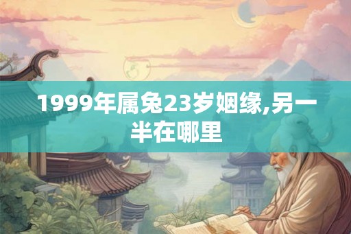 1999年属兔23岁姻缘,另一半在哪里