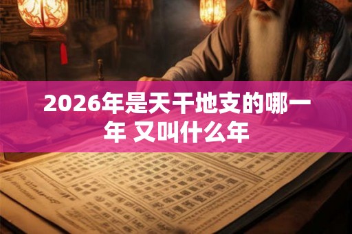 2026年是天干地支的哪一年 又叫什么年