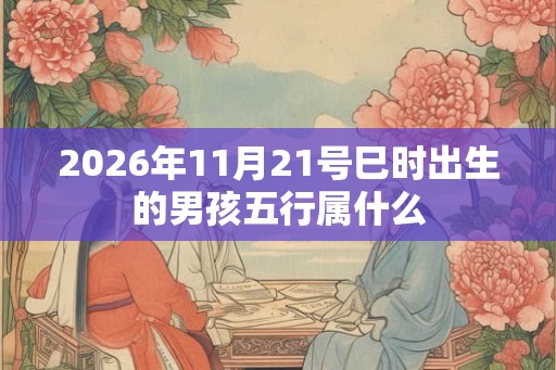 2026年11月21号巳时出生的男孩五行属什么