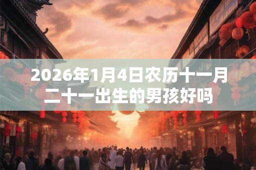 2026年1月4日农历十一月二十一出生的男孩好吗