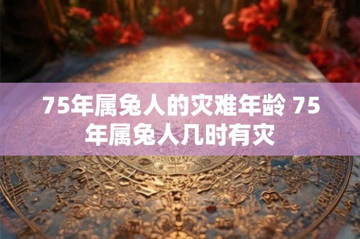 75年属兔人的灾难年龄 75年属兔人几时有灾