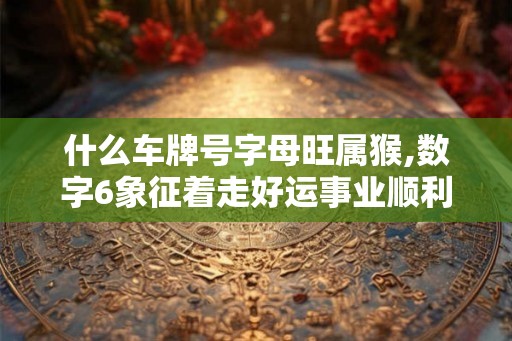 什么车牌号字母旺属猴,数字6象征着走好运事业顺利