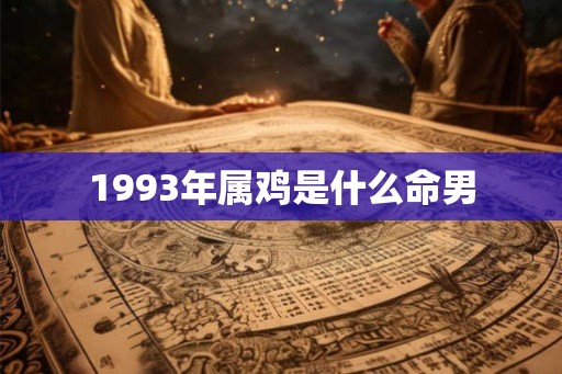 1993年属鸡是什么命男