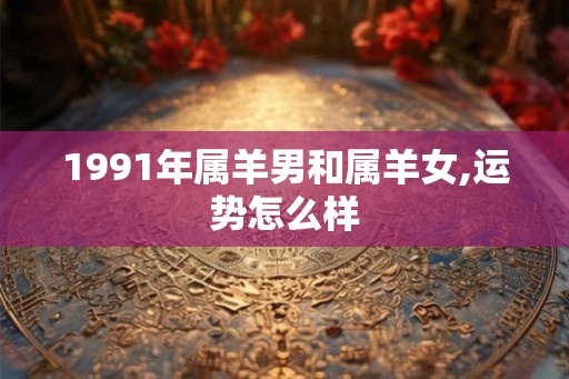 1991年属羊男和属羊女,运势怎么样