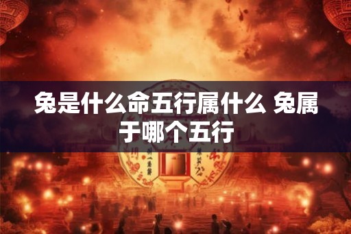 兔是什么命五行属什么 兔属于哪个五行