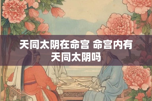 天同太阴在命宫 命宫内有天同太阴吗