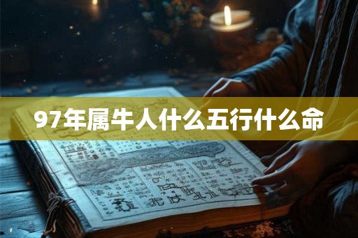 97年属牛人什么五行什么命