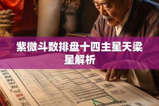 紫微斗数排盘十四主星天梁星解析