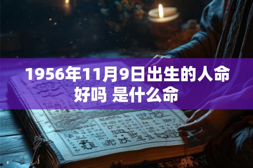 1956年11月9日出生的人命好吗 是什么命