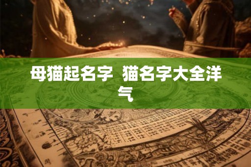 母猫起名字  猫名字大全洋气