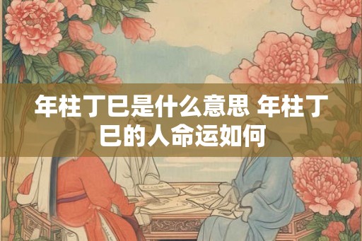 年柱丁巳是什么意思 年柱丁巳的人命运如何