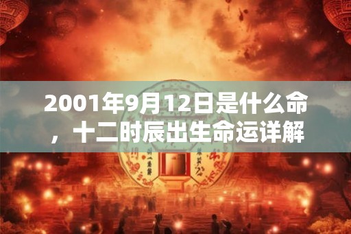 2001年9月12日是什么命，十二时辰出生命运详解