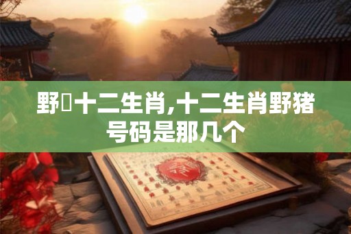 野曽十二生肖,十二生肖野猪号码是那几个