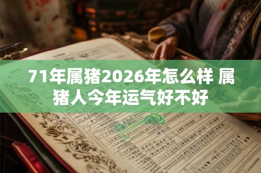 71年属猪2026年怎么样 属猪人今年运气好不好 71年属猪2026年怎么样 属猪人今年运气好不好