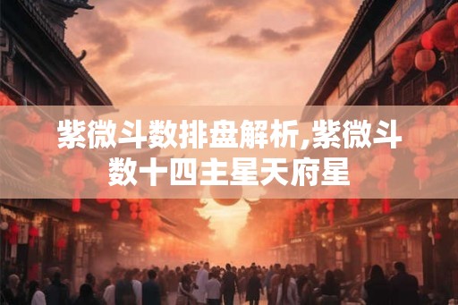 紫微斗数排盘解析,紫微斗数十四主星天府星
