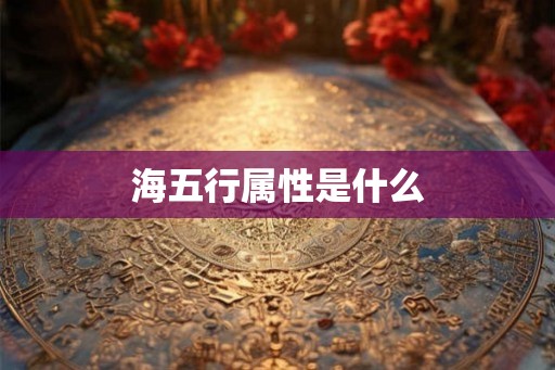 海五行属性是什么