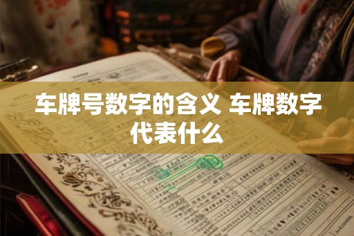 车牌号数字的含义 车牌数字代表什么 车牌号数字的含义 车牌数字代表什么