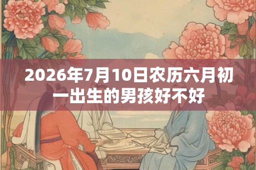 2026年7月10日农历六月初一出生的男孩好不好
