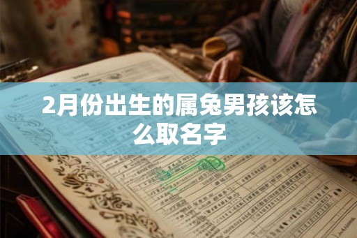 2月份出生的属兔男孩该怎么取名字 2月份出生的属兔男孩该怎么取名字