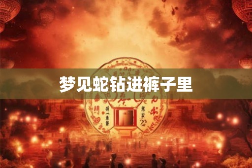 梦见蛇钻进裤子里