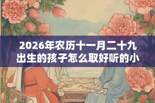 2026年农历十一月二十九出生的孩子怎么取好听的小名？乳名推荐