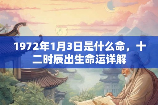 1972年1月3日是什么命，十二时辰出生命运详解
