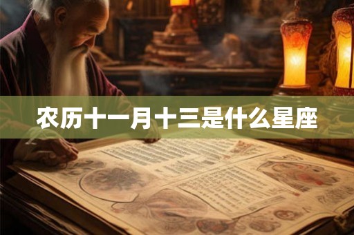 农历十一月十三是什么星座