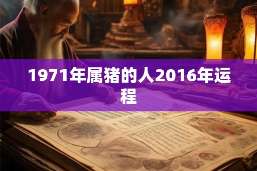 1971年属猪的人2016年运程 1971年属猪的人2016年运程