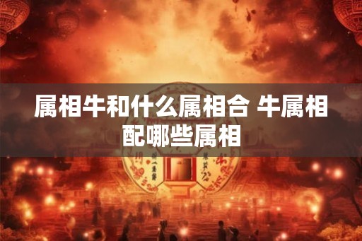 属相牛和什么属相合 牛属相配哪些属相