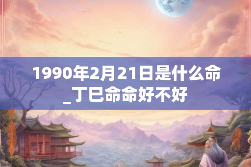 1990年2月21日是什么命_丁巳命命好不好