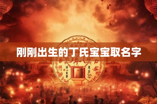 刚刚出生的丁氏宝宝取名字