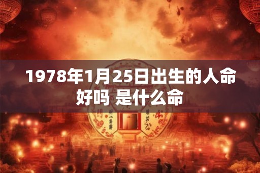 1978年1月25日出生的人命好吗 是什么命