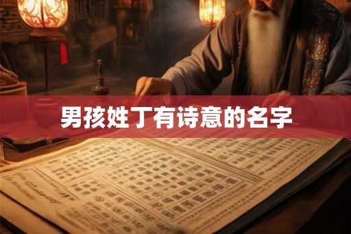 男孩姓丁有诗意的名字