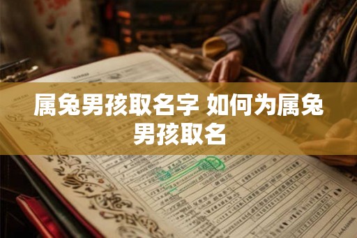 属兔男孩取名字 如何为属兔男孩取名