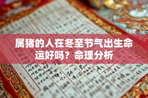 属猪的人在冬至节气出生命运好吗?命理分析 属猪的人在冬至节气出生命运好吗?命理分析