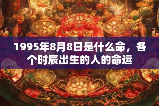 1995年8月8日是什么命，各个时辰出生的人的命运
