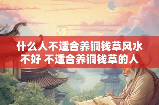 什么人不适合养铜钱草风水不好 不适合养铜钱草的人群