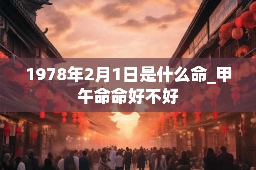 1978年2月1日是什么命_甲午命命好不好