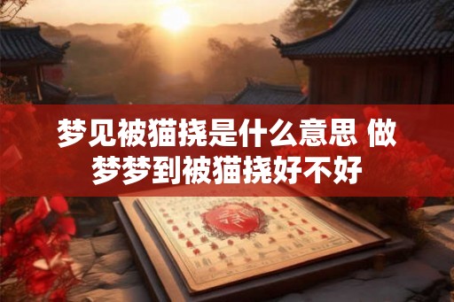 梦见被猫挠是什么意思 做梦梦到被猫挠好不好 梦见被猫挠是什么意思 做梦梦到被猫挠好不好