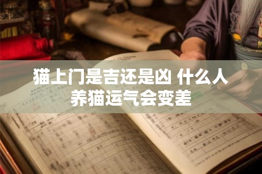 猫上门是吉还是凶 什么人养猫运气会变差