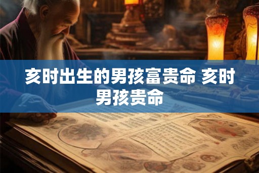 亥时出生的男孩富贵命 亥时男孩贵命