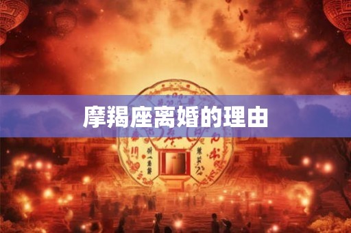摩羯座离婚的理由