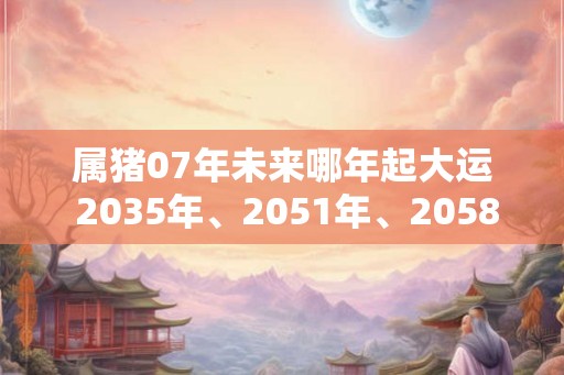属猪07年未来哪年起大运 2035年、2051年、2058年