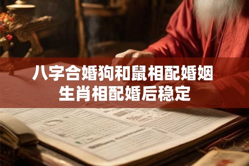 八字合婚狗和鼠相配婚姻 生肖相配婚后稳定