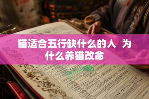 猫适合五行缺什么的人  为什么养猫改命