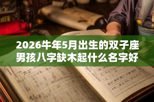 2026牛年5月出生的双子座男孩八字缺木起什么名字好 2026牛年5月出生的双子座男孩八字缺木起什么名字好