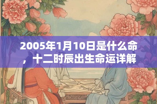 2005年1月10日是什么命，十二时辰出生命运详解
