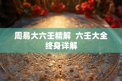 周易大六壬精解  六壬大全终身详解
